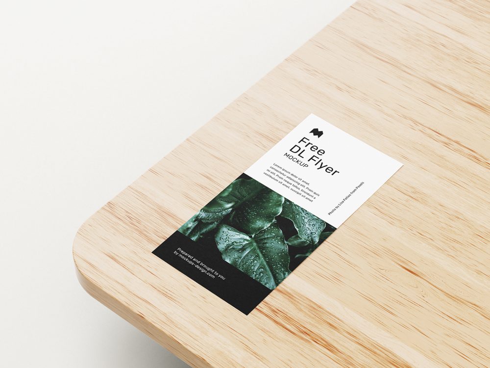 DL Flyer Free Mockups
