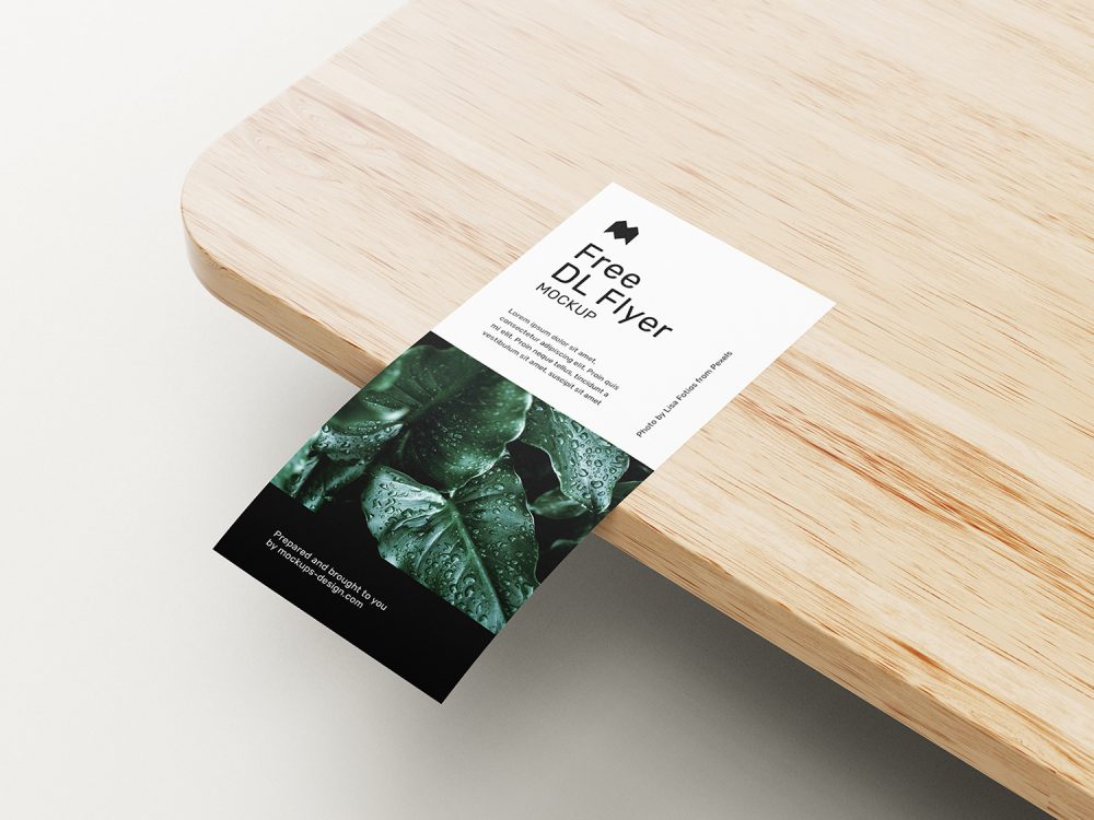 DL Flyer Free Mockups