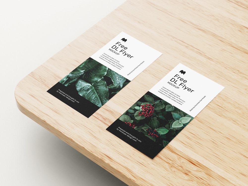 DL Flyer Free Mockups