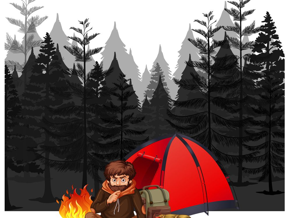 Free Camp in the Forest Illustration