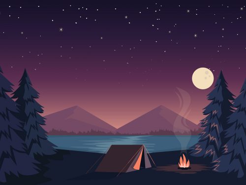 Free Camp in the Forest Illustration