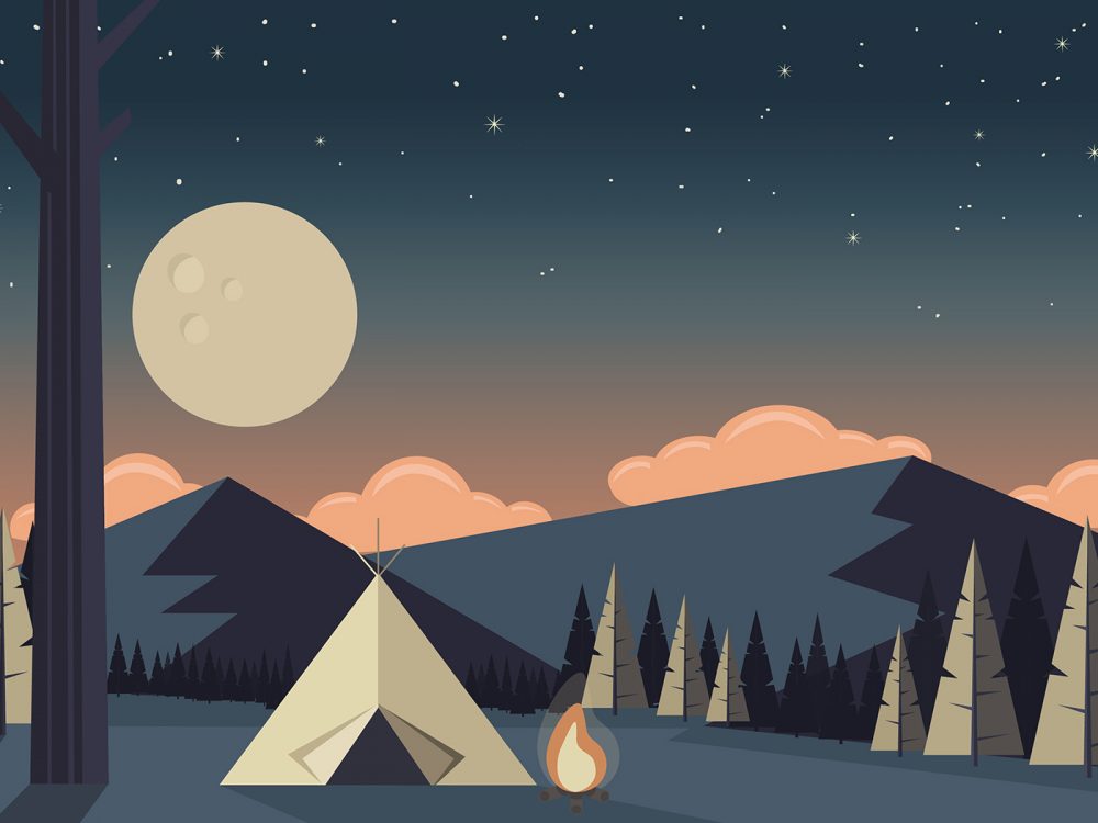 Free Camp in the Forest Illustration