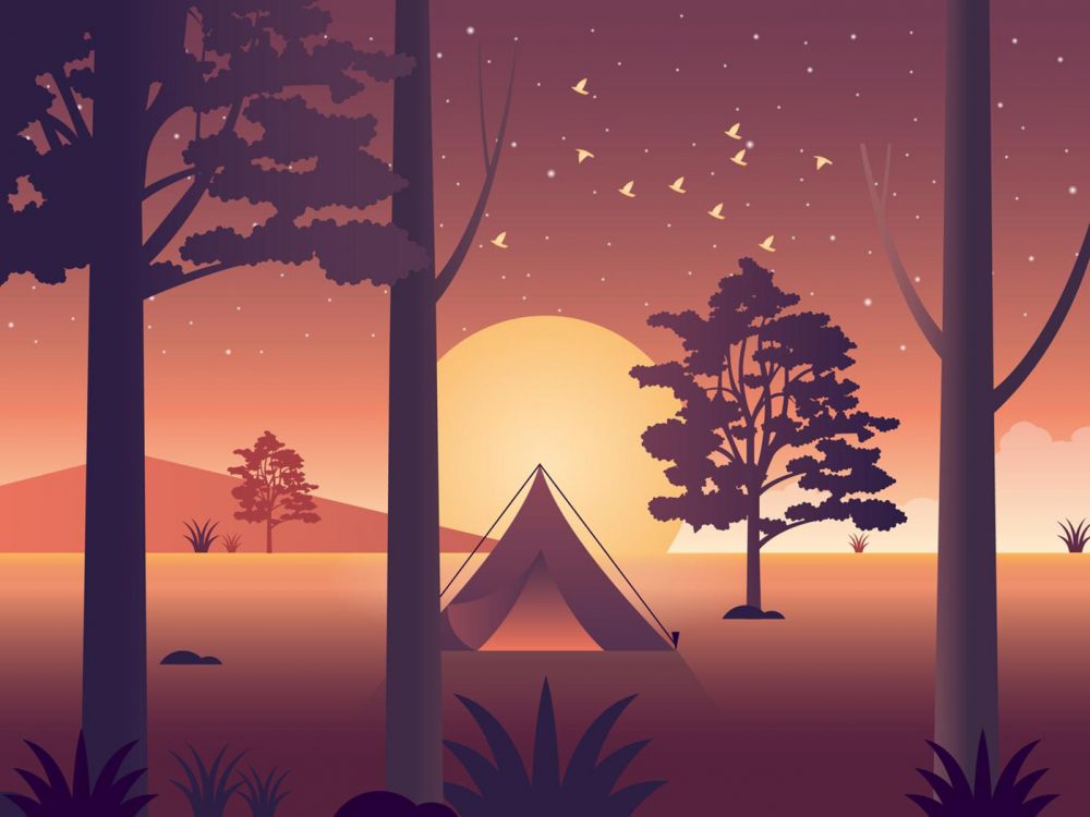 Free Camp in the Forest Illustration