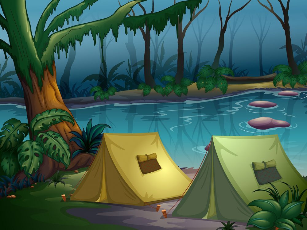 Free Camp in the Forest Illustration