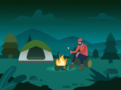 Free Camp in the Forest Illustration