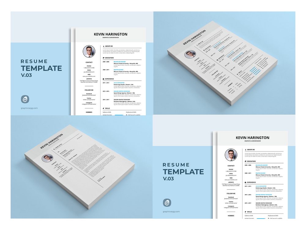 Resume Template V-03