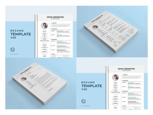 Resume Template V-03