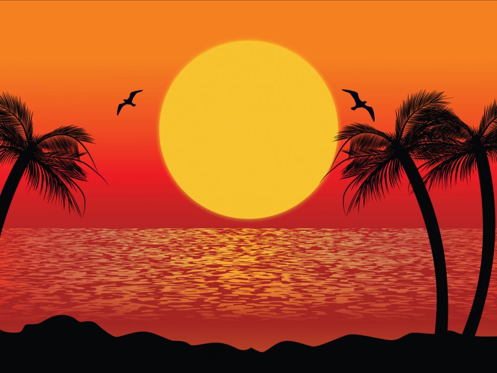 Tropical Landscape Illustration