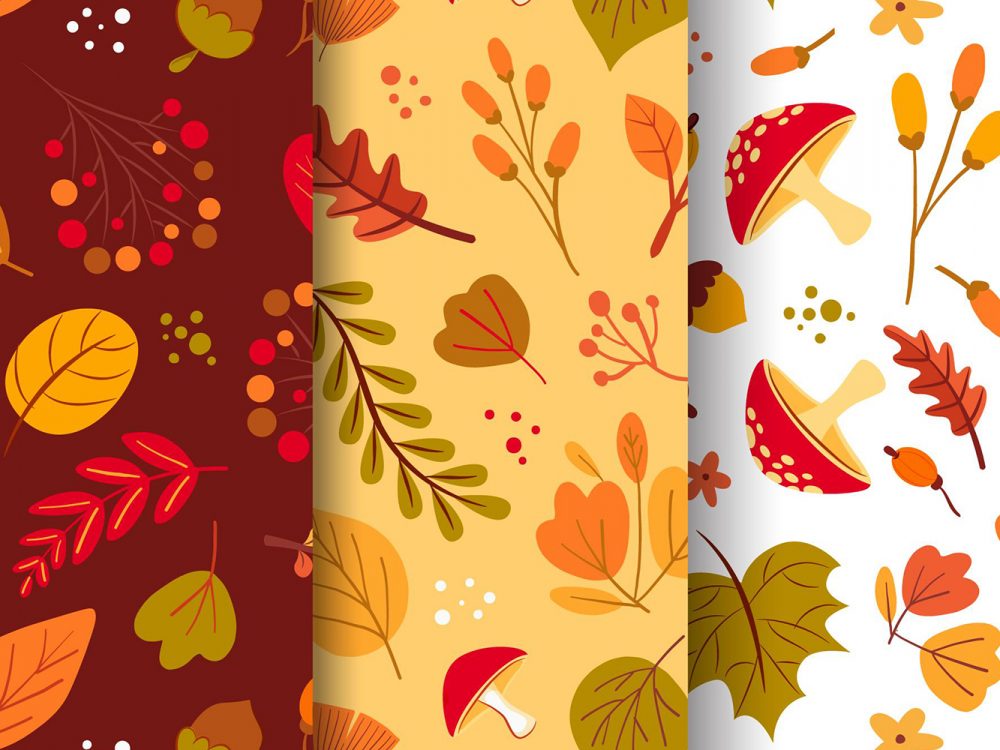 Autumn Pattern Collection