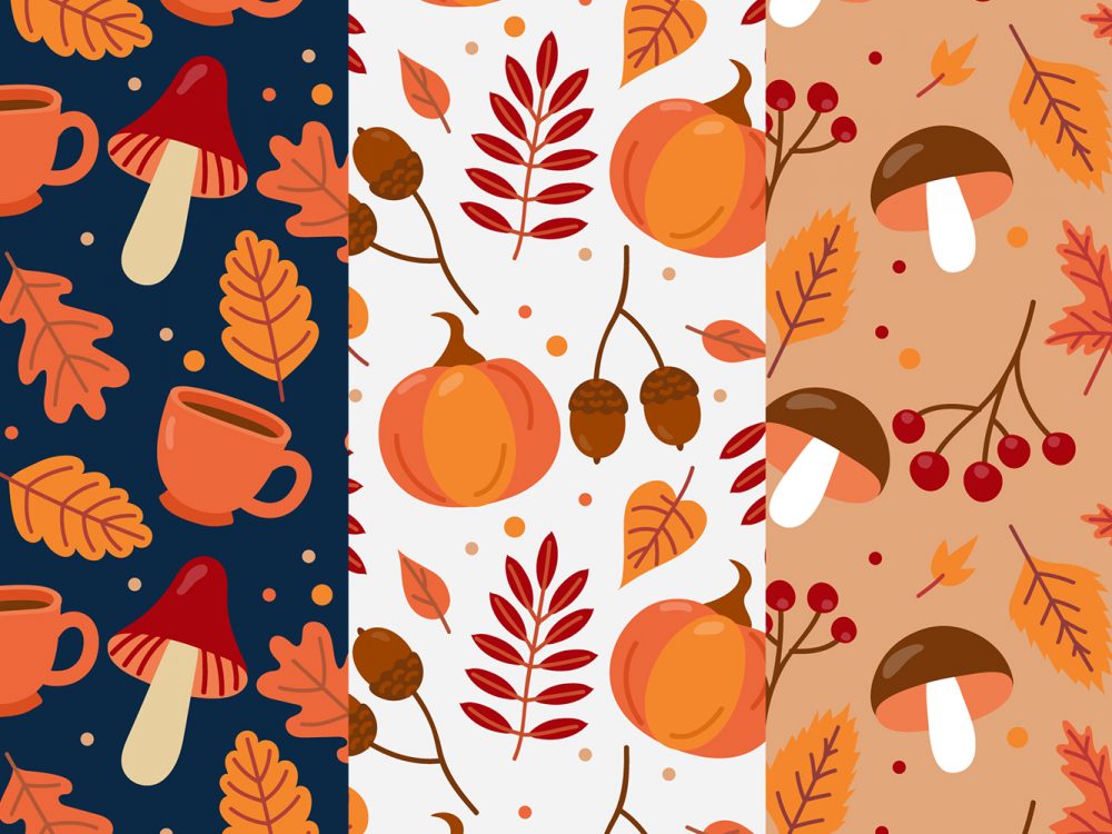 Autumn Pattern Collection