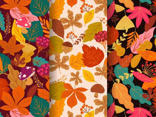 Autumn Pattern Collection