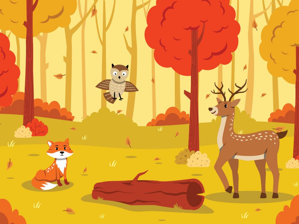 Flora and Fauna Landscape in Autumn Illustration