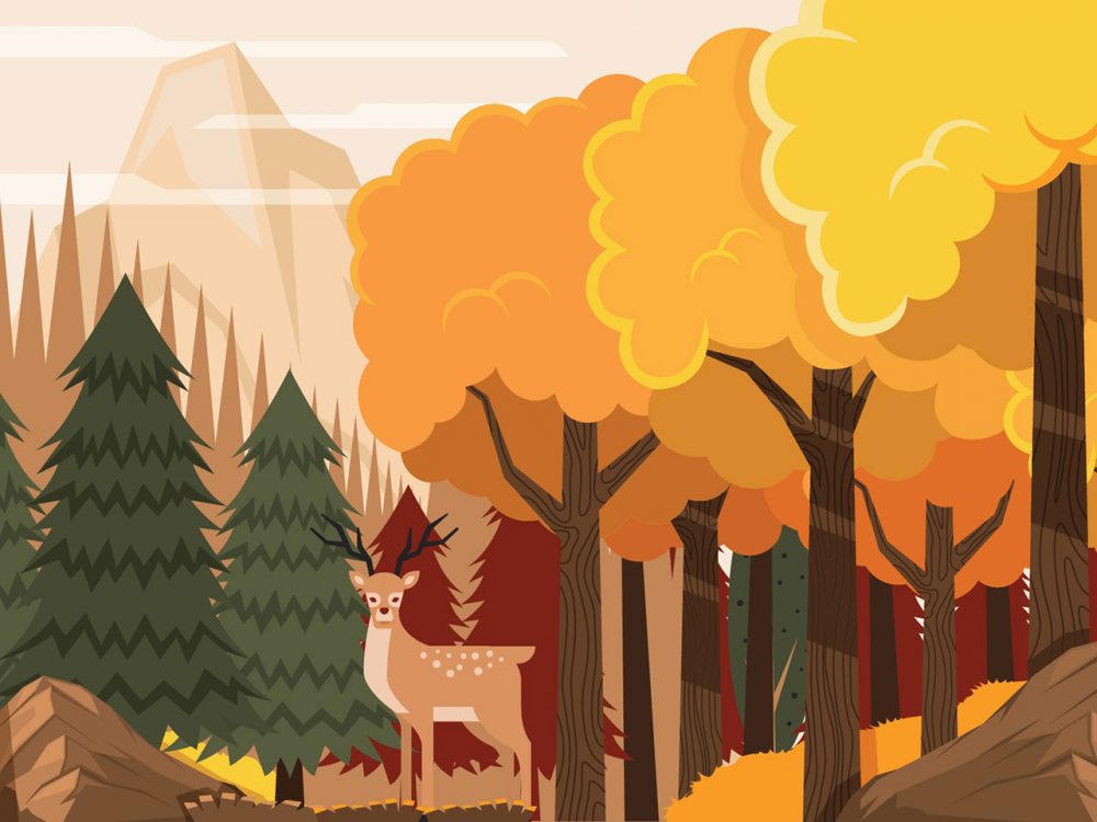Flora and Fauna Landscape in Autumn Illustration