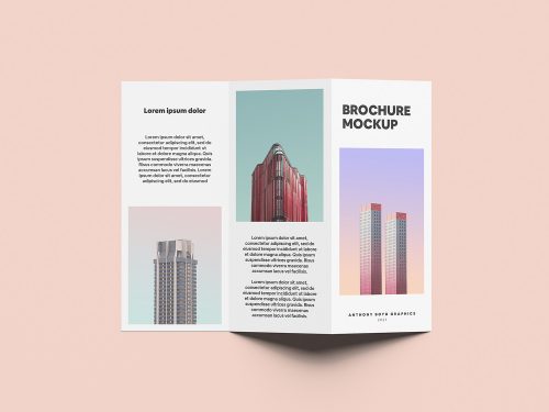 Free Folded Brochure Mockup