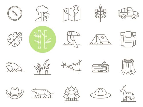 Jungle Vector Icons