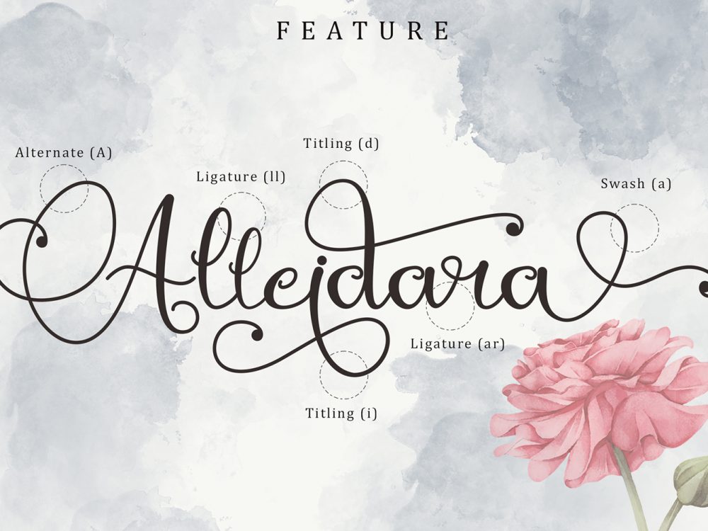 Mirandany Free Font