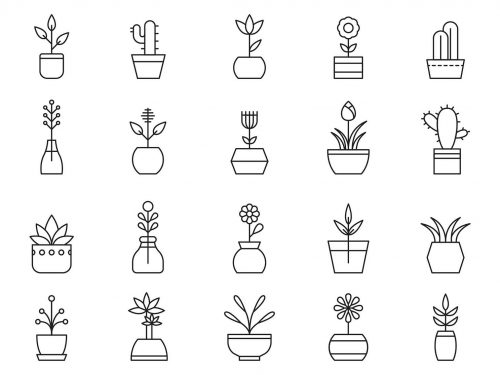 Potted Plants Vector Icons