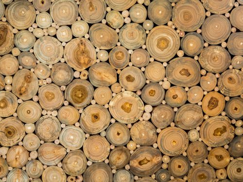 Texture of Logs with Different Sizes