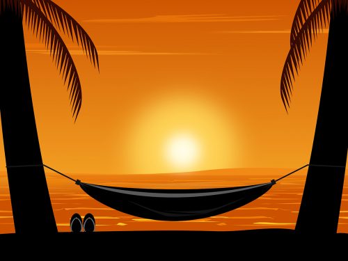 Tropical Landscape Illustration