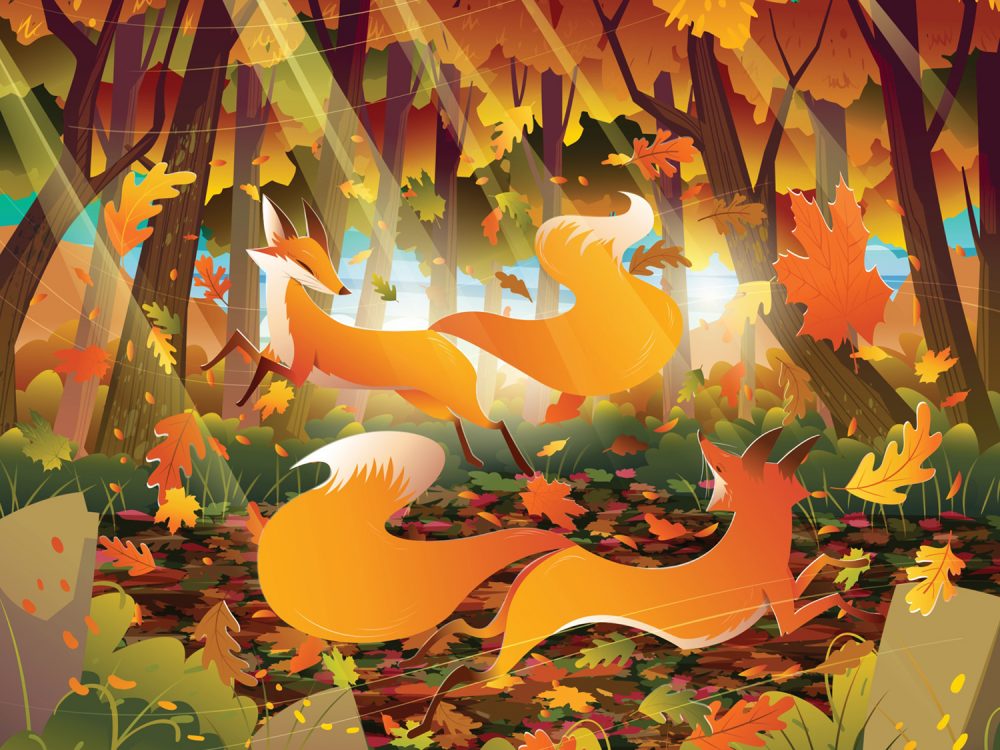 Autumn Forest with Couple of Foxes Illustration