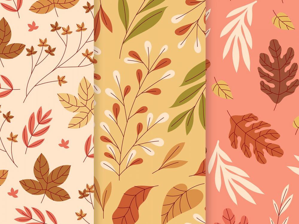 Autumn Pattern Collection