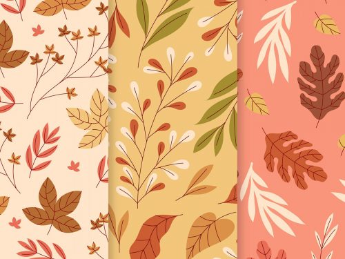 Autumn Pattern Collection