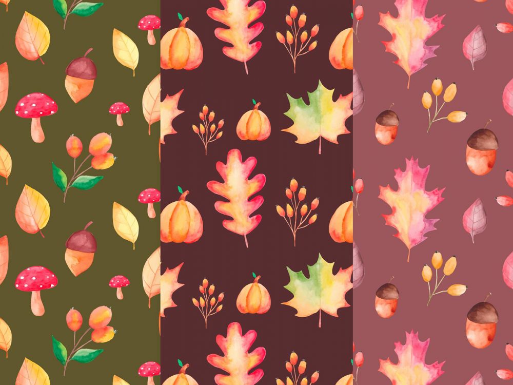 Autumn Pattern Collection