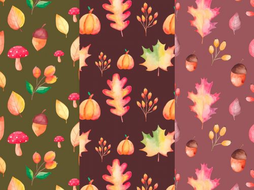 Autumn Pattern Collection