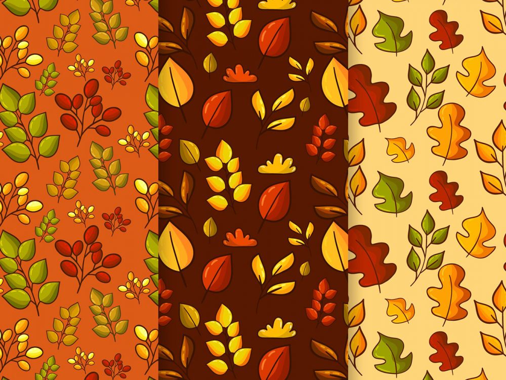 Autumn Pattern Collection