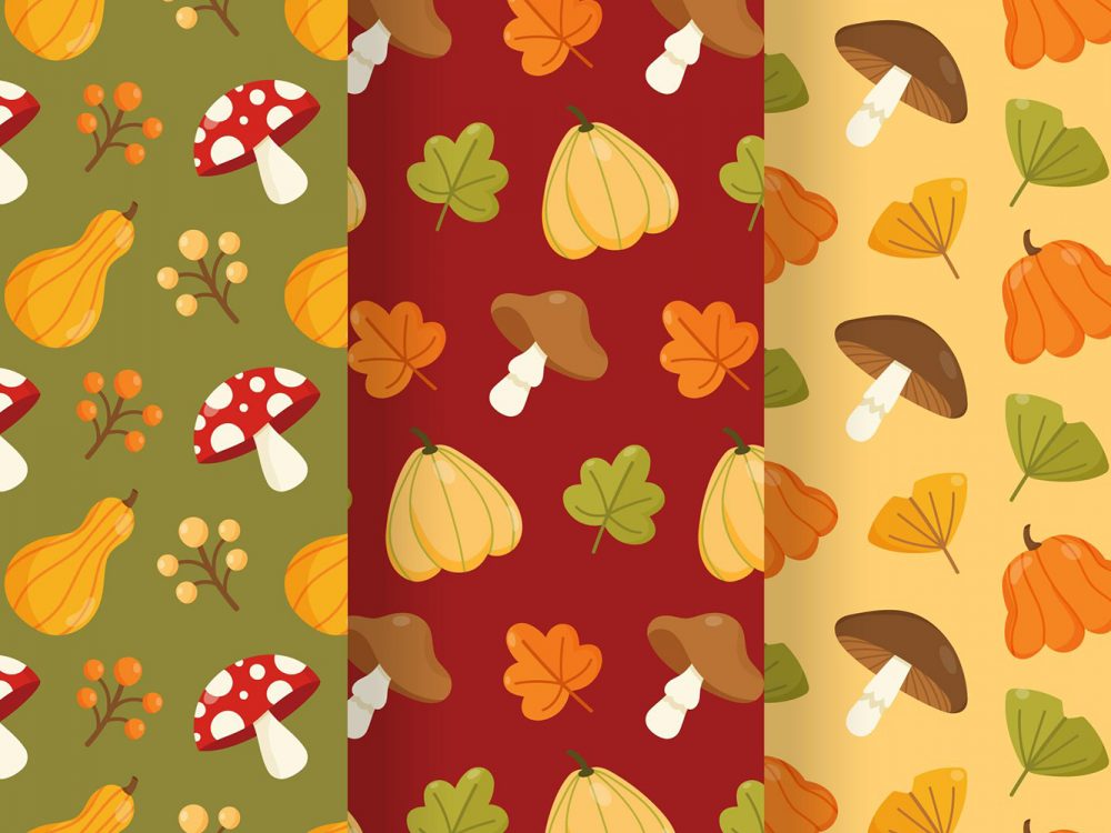 Autumn Pattern Collection