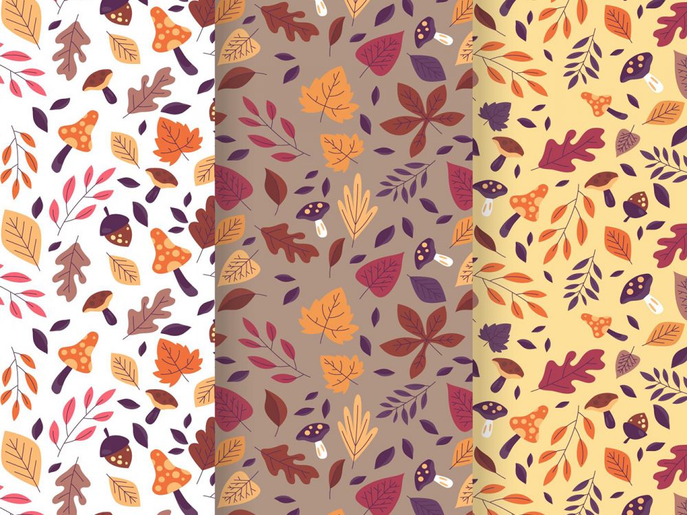 Autumn Pattern Collection