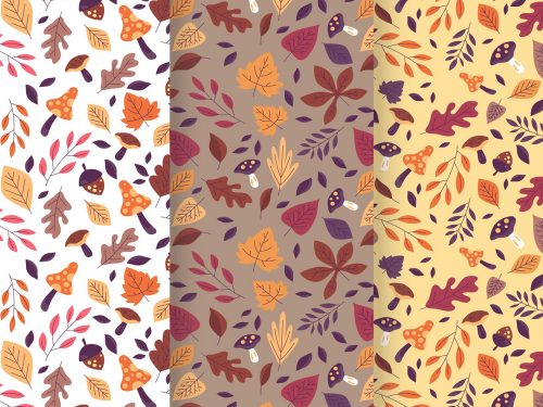 Autumn Pattern Collection