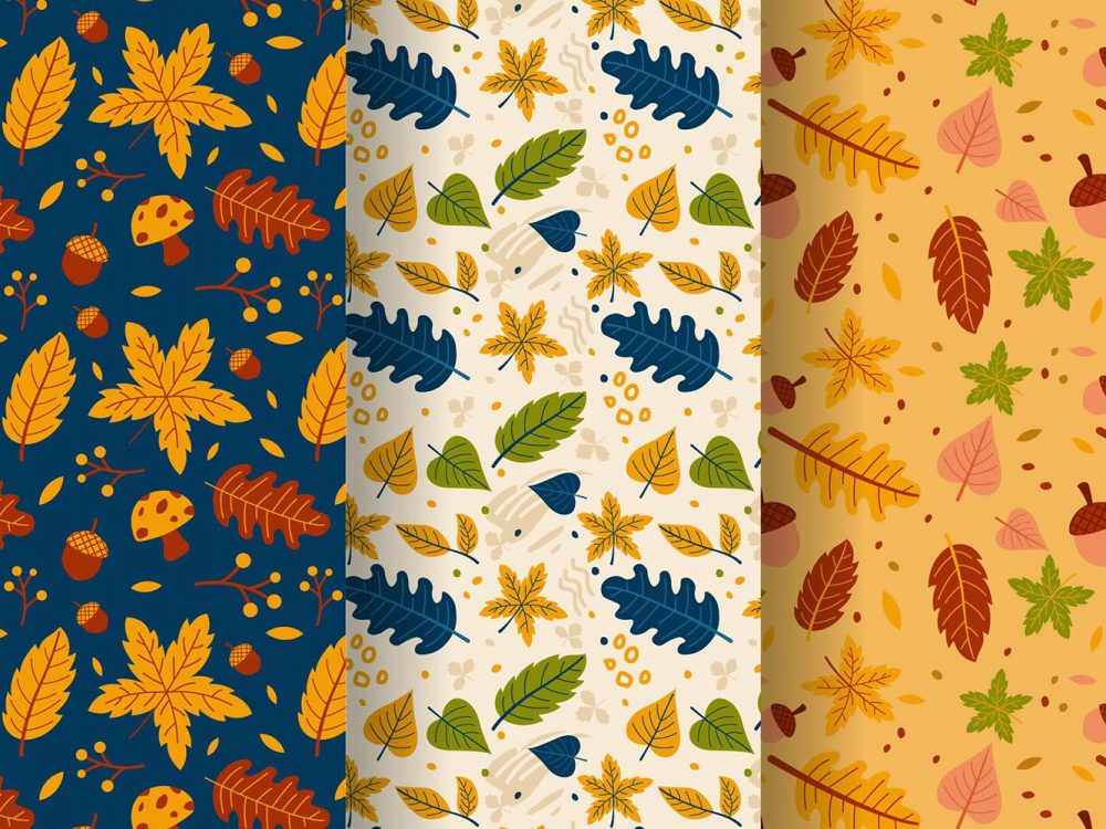Autumn Pattern Collection