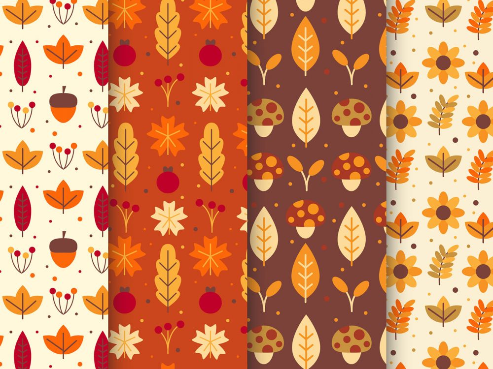 Autumn Pattern Collection