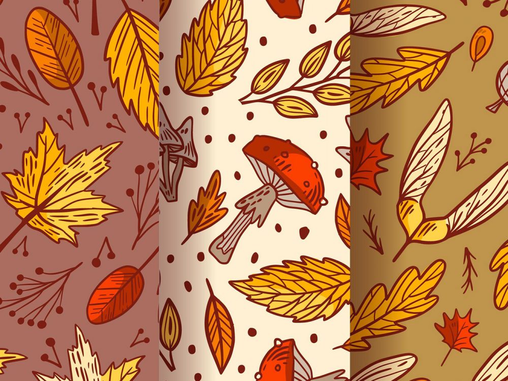 Autumn Pattern Collection
