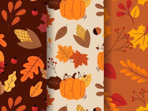 Autumn Pattern Collection