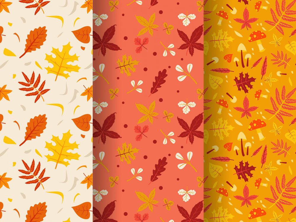 Autumn Pattern Collection
