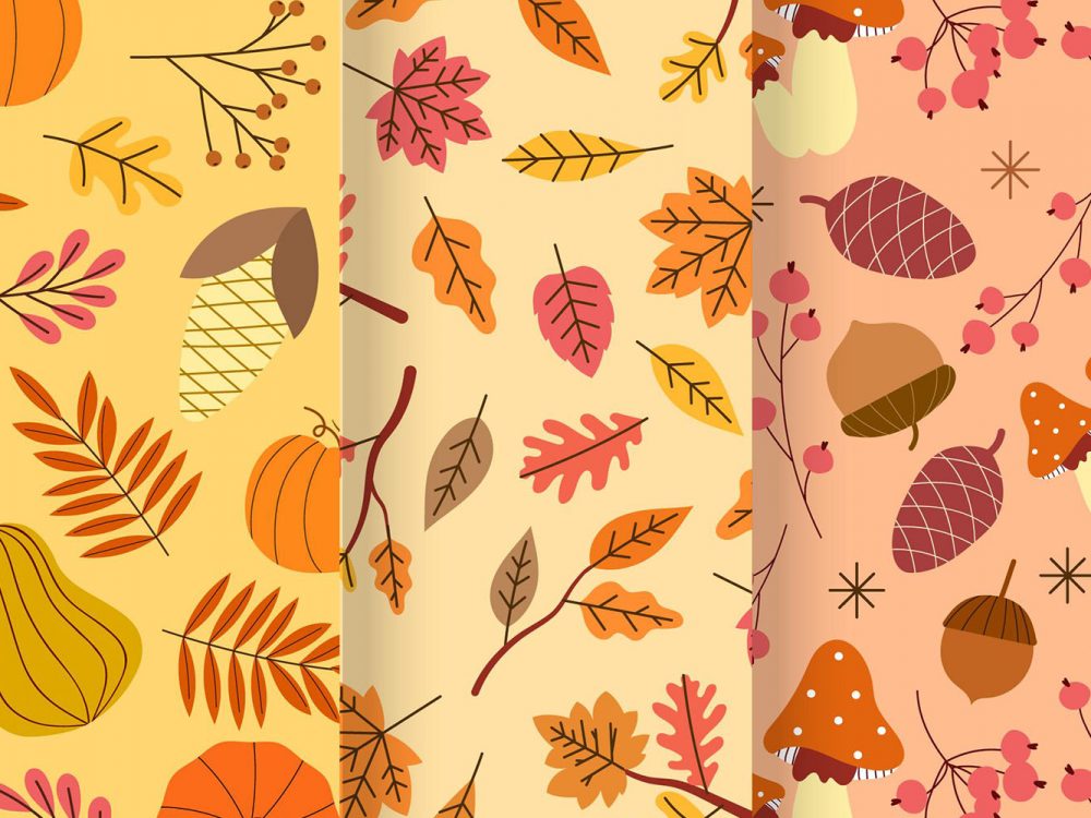 Autumn Pattern Collection