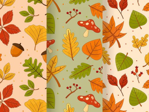 Autumn Pattern Collection