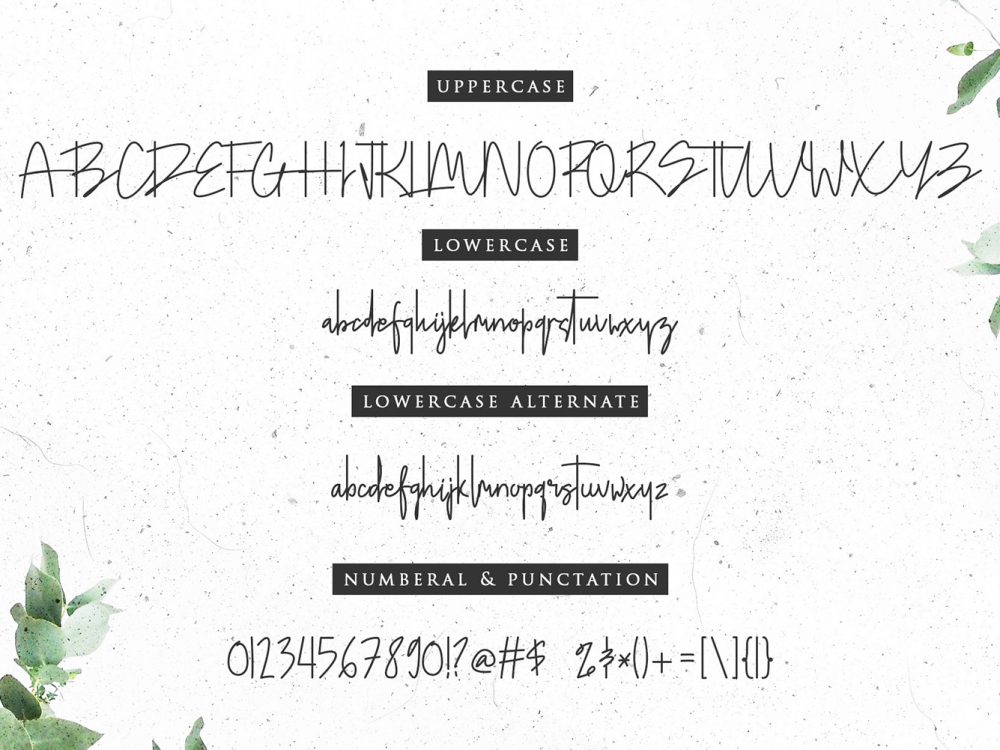 Doupple Signature Free Font