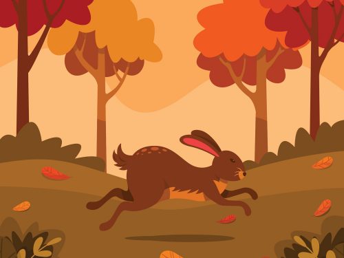 Flora and Fauna Landscape in Autumn Illustration