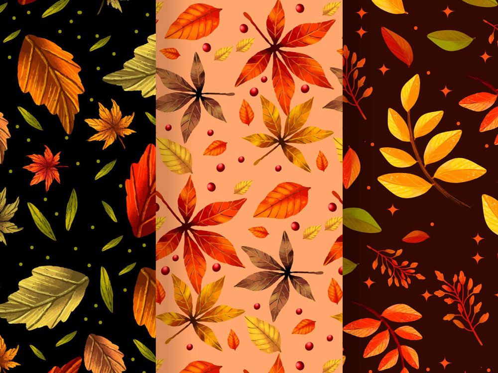 Hand Drawn Autumn Pattern Collection