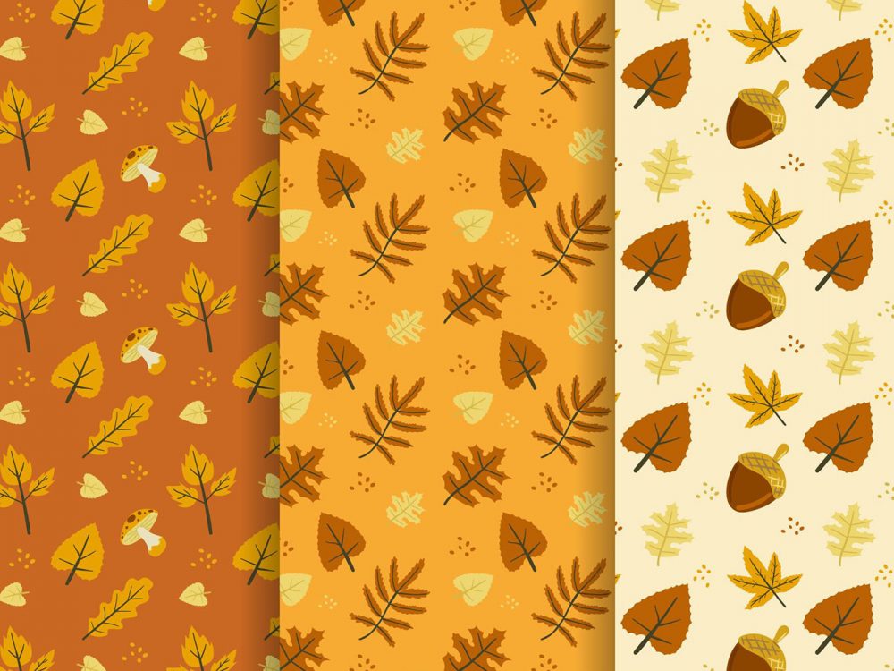 Hand Drawn Autumn Pattern Collection