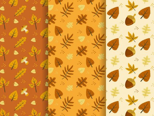 Hand Drawn Autumn Pattern Collection