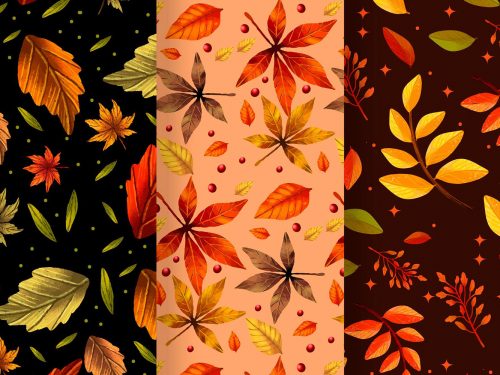 Hand Drawn Autumn Pattern Collection