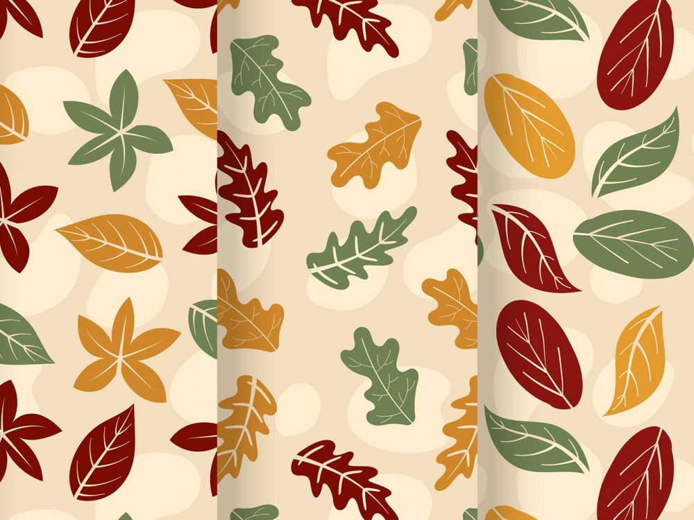 Hand Drawn Autumn Pattern Collection