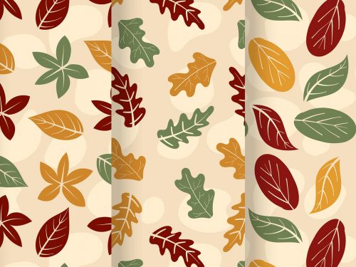 Hand Drawn Autumn Pattern Collection