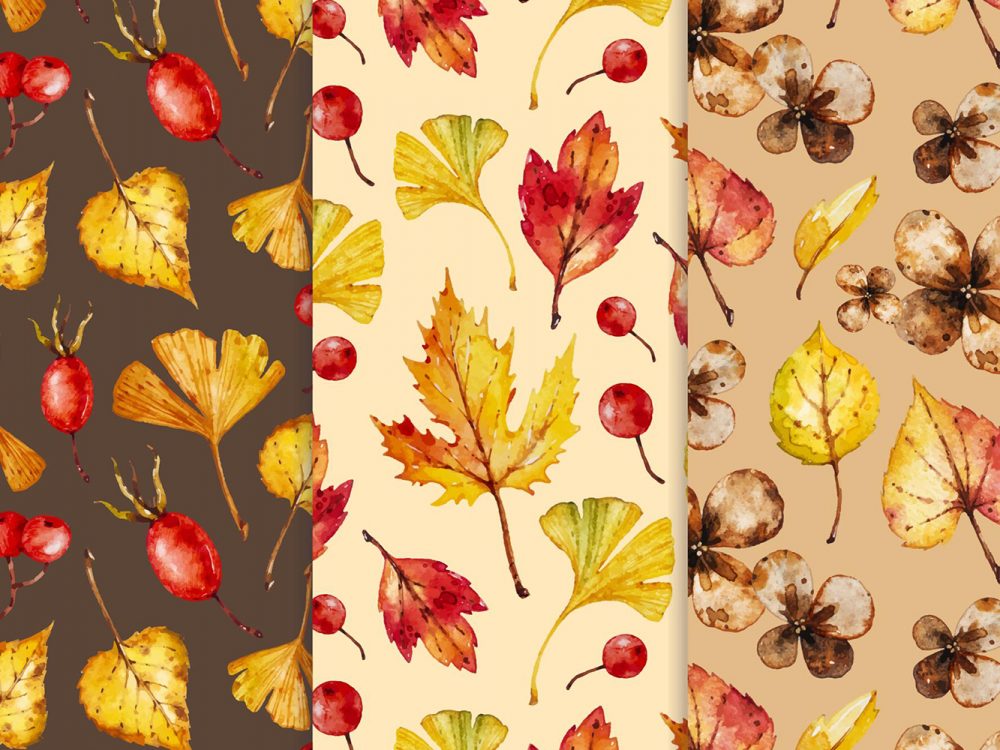 Autumn Pattern Collection