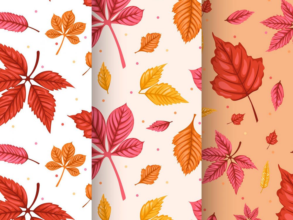 Autumn Pattern Collection