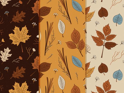 Autumn Pattern Collection